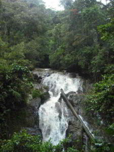 Robinson Falls in Cameron Highlands