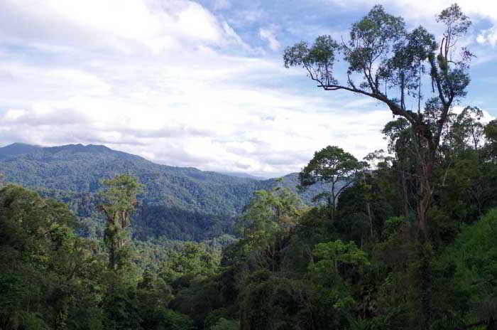 View across Titiwangsa in Cameron Highlands