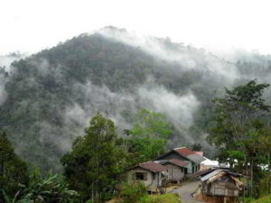 Orang Asli village in Cameron Highlands