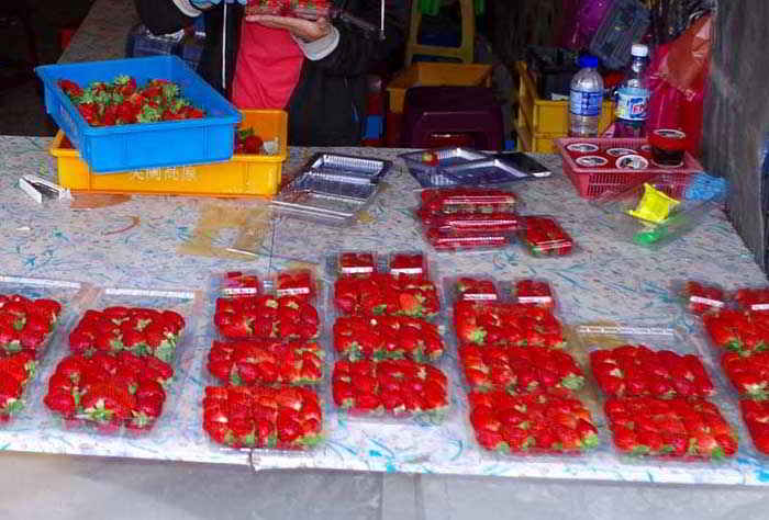 Strawberries for sale in Cameron Highlands