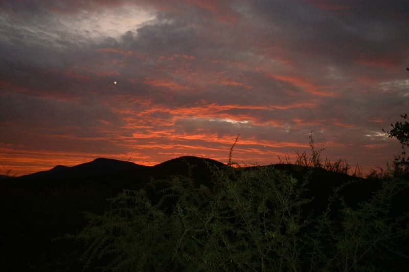 Botswana sunset