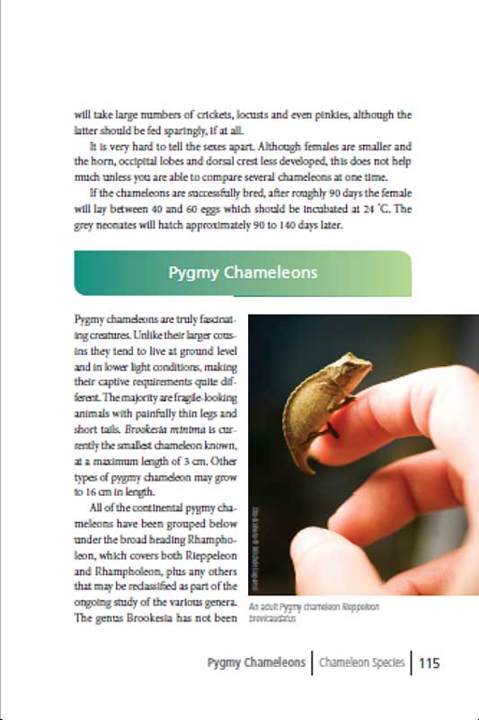 Exotic chameleons book page 115