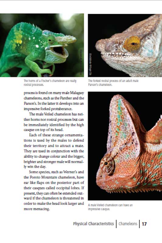 Exotic chameleons book page 17