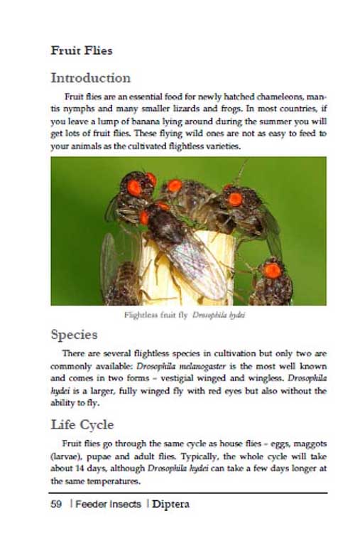 Breeding Insects book page 59