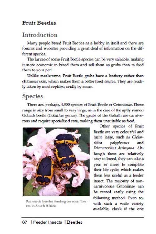 Breeding Insects book page 67