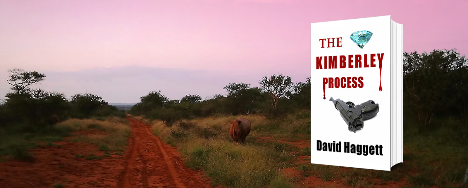 The new novel by David Haggett shown against a sunset and a rhino!